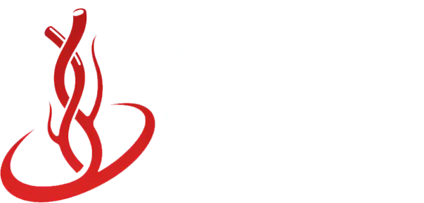 acesso veneso logo